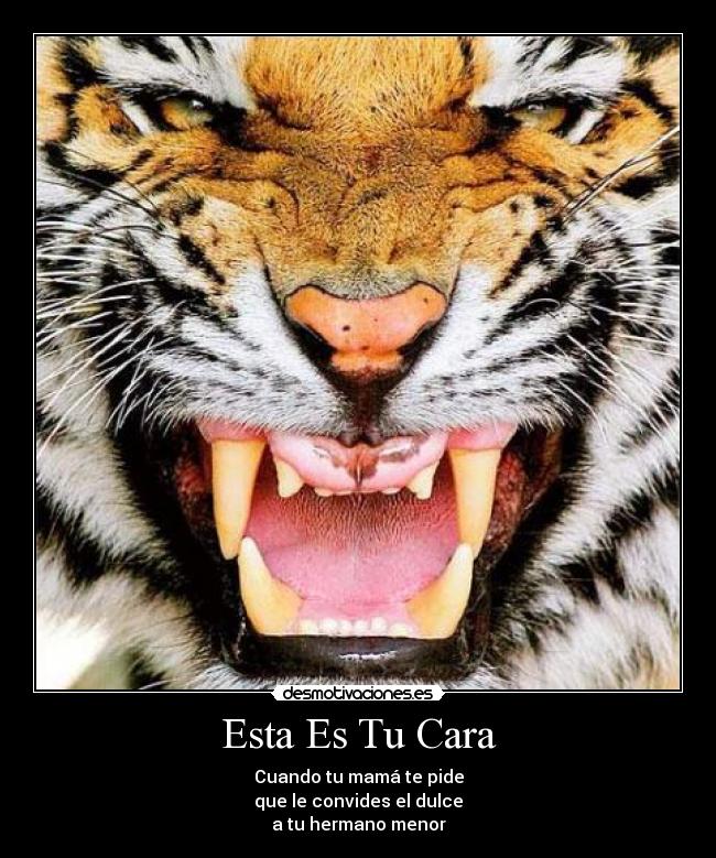 carteles 125 desmotivaciones