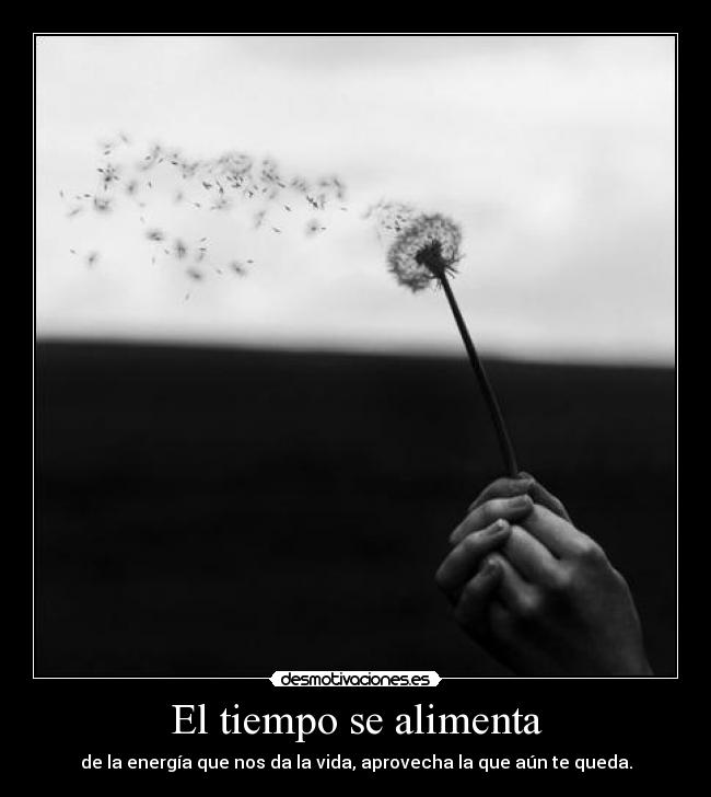 El tiempo se alimenta - de la energía que nos da la vida, aprovecha la que aún te queda.