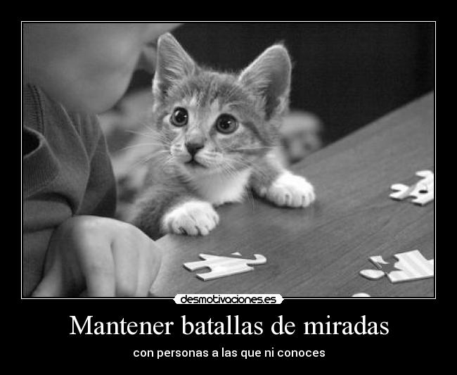 Mantener batallas de miradas - 