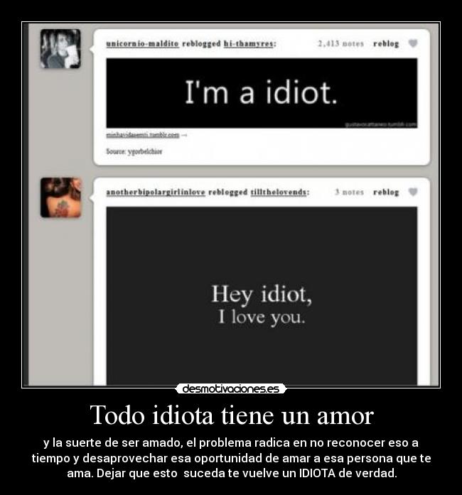 carteles amor todo idiota tiene amor desmotivaciones