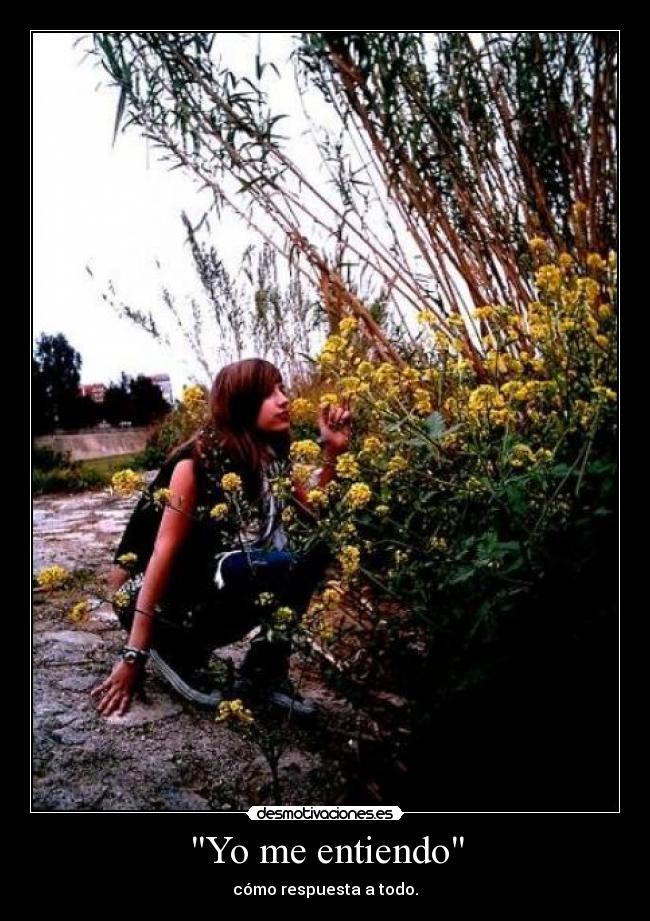 Yo me entiendo - cómo respuesta a todo.