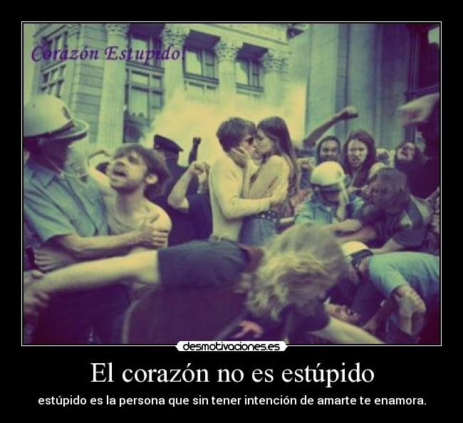 El corazón no es estúpido - estúpido es la persona que sin tener intención de amarte te enamora.