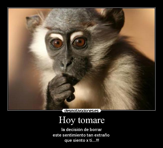 Hoy tomare -