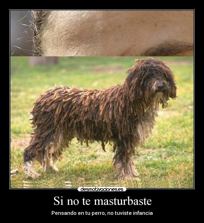 Si no te masturbaste - Pensando en tu perro, no tuviste infancia