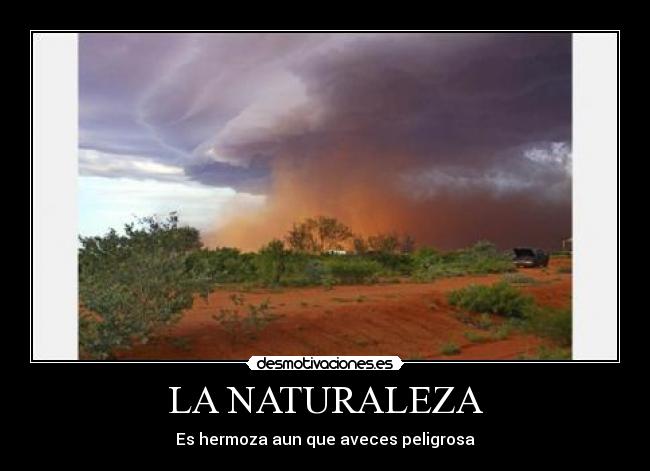 carteles naturaleza desmotivaciones