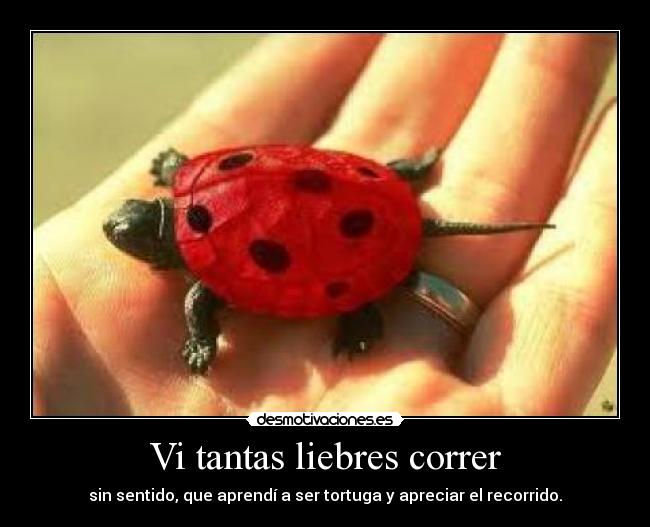 carteles tortuguita desmotivaciones