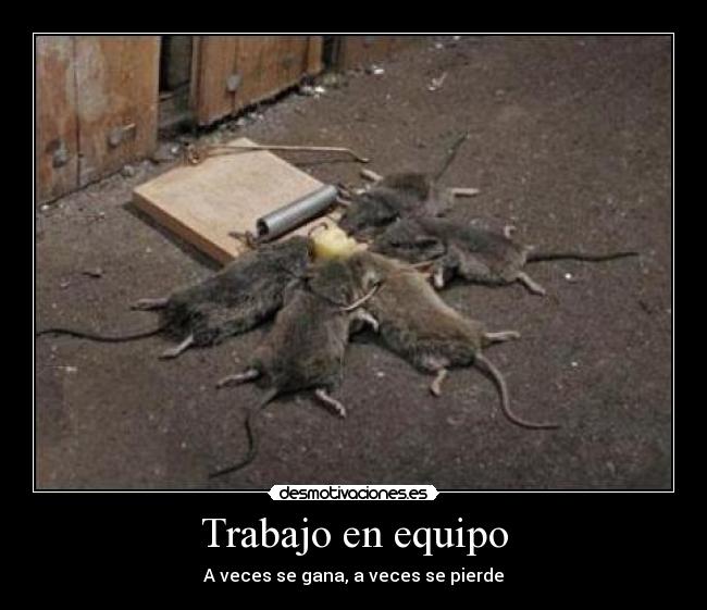 Trabajo en equipo - A veces se gana, a veces se pierde