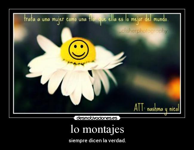 carteles nashma desmotivaciones