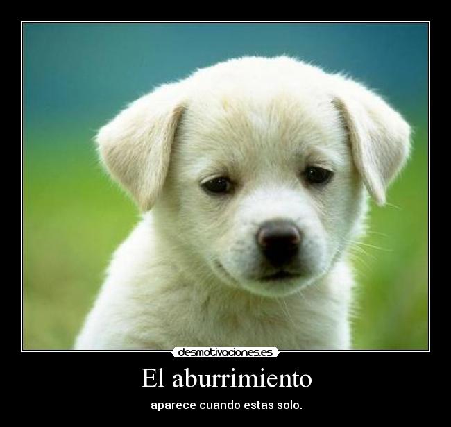 El aburrimiento - aparece cuando estas solo.