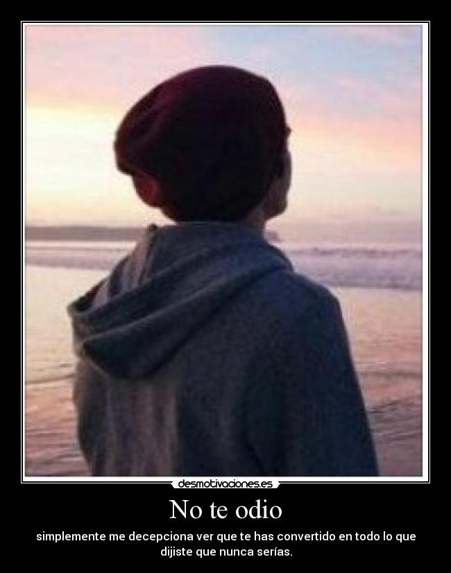 No te odio - simplemente me decepciona ver que te has convertido en todo lo que
dijiste que nunca serías.