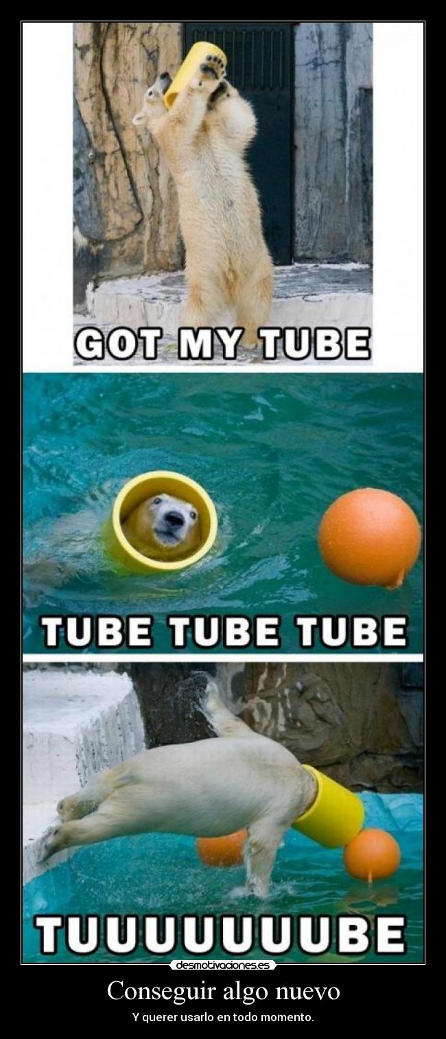 Conseguir algo nuevo -