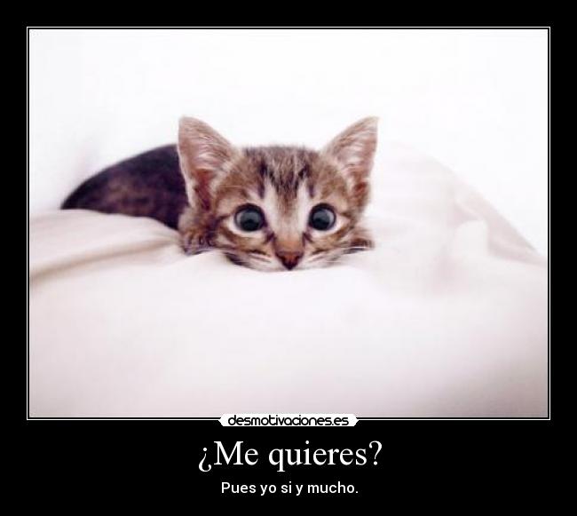 ¿Me quieres? -