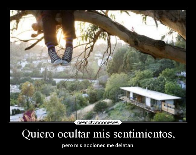 Quiero ocultar mis sentimientos, - 