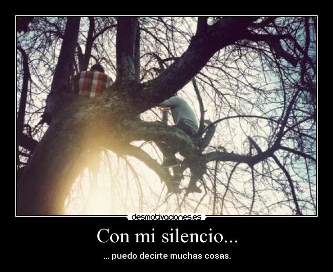Con mi silencio... - 