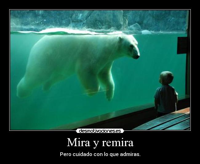 Mira y remira - Pero cuidado con lo que admiras.