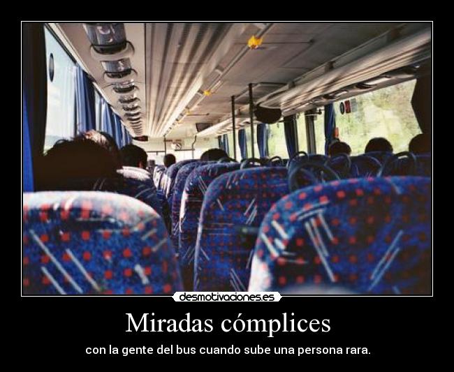 Miradas cómplices - 