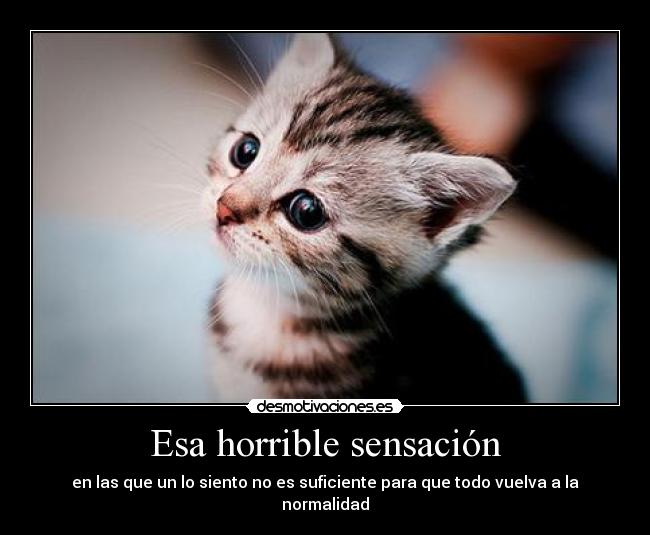 Esa horrible sensación - 