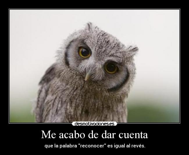 Me acabo de dar cuenta - 