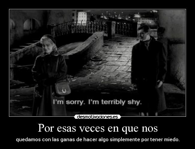 carteles maldita timidez veces que nos atrevemos decir las cosaas desmotivaciones