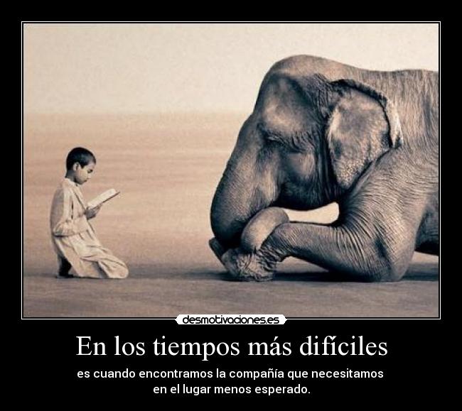 carteles momentos dificiles desmotivaciones