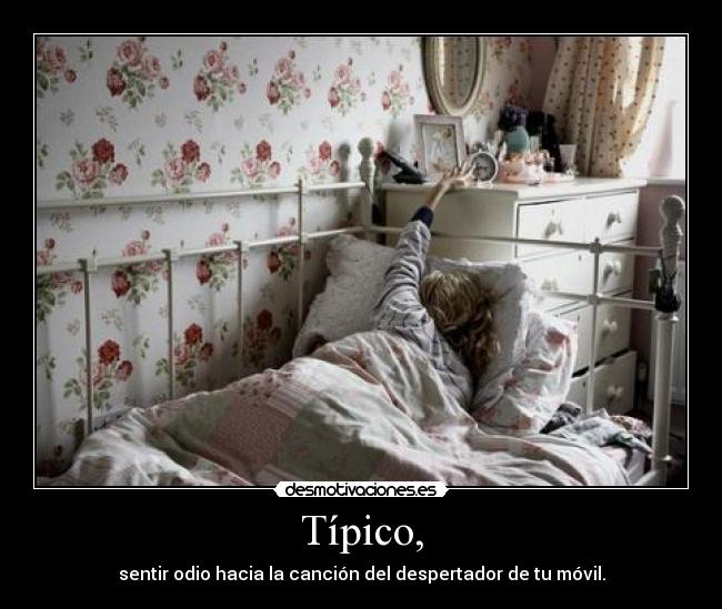 Típico, - sentir odio hacia la canción del despertador de tu móvil.