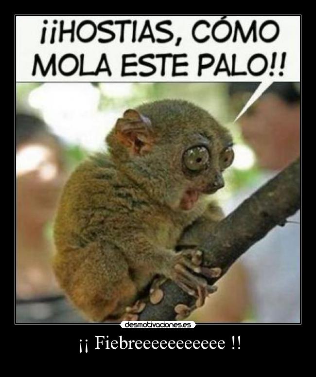 carteles risas desmotivaciones