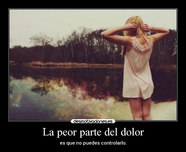 carteles dolor anatomia grey desmotivaciones