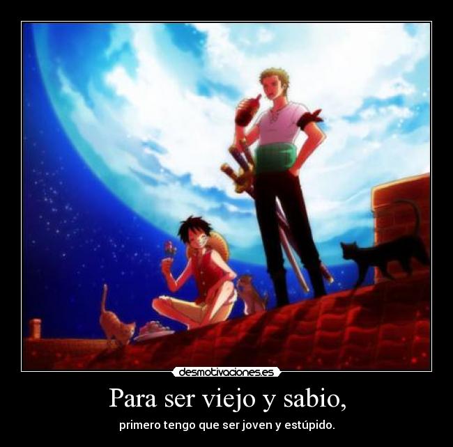 carteles one piece luffy zoro frase mia anime desmotivaciones