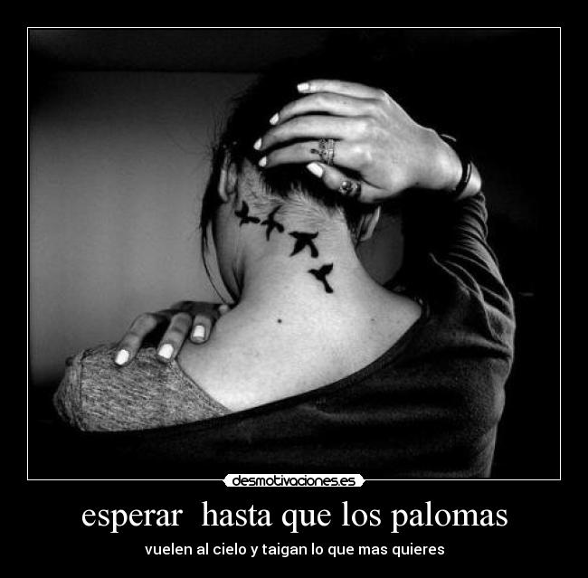 esperar hasta que los palomas - vuelen al cielo y taigan lo que mas quieres