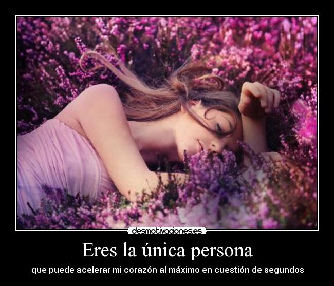 carteles amor bonito hasta que termina desmotivaciones