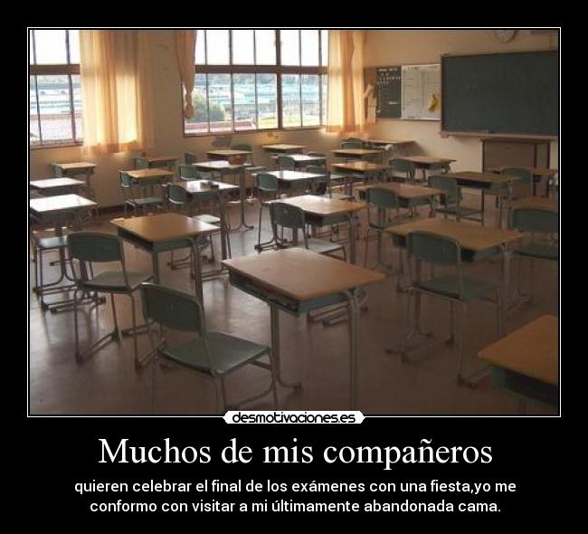 Muchos de mis compañeros - quieren celebrar el final de los exámenes con una fiesta,yo me
conformo con visitar a mi últimamente abandonada cama.