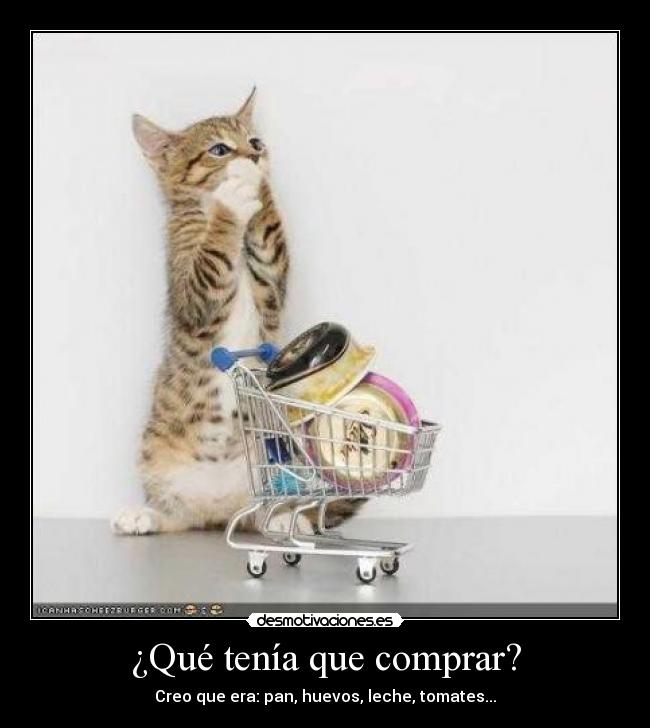 ¿Qué tenía que comprar? -
