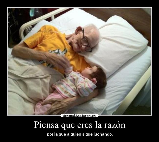 carteles cinderella somos los motivos por los que algunos siguen adelante superando cualquier obstaculo desmotivaciones