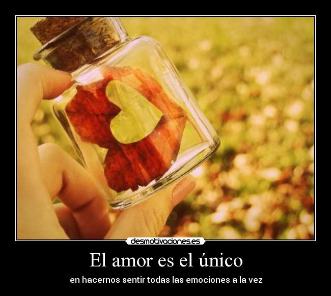 El amor es el único -