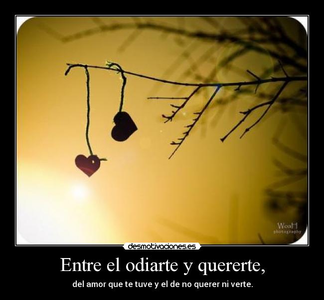 Entre el odiarte y quererte, - del amor que te tuve y el de no querer ni verte.