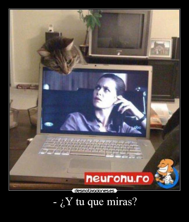 - ¿Y tu que miras? -