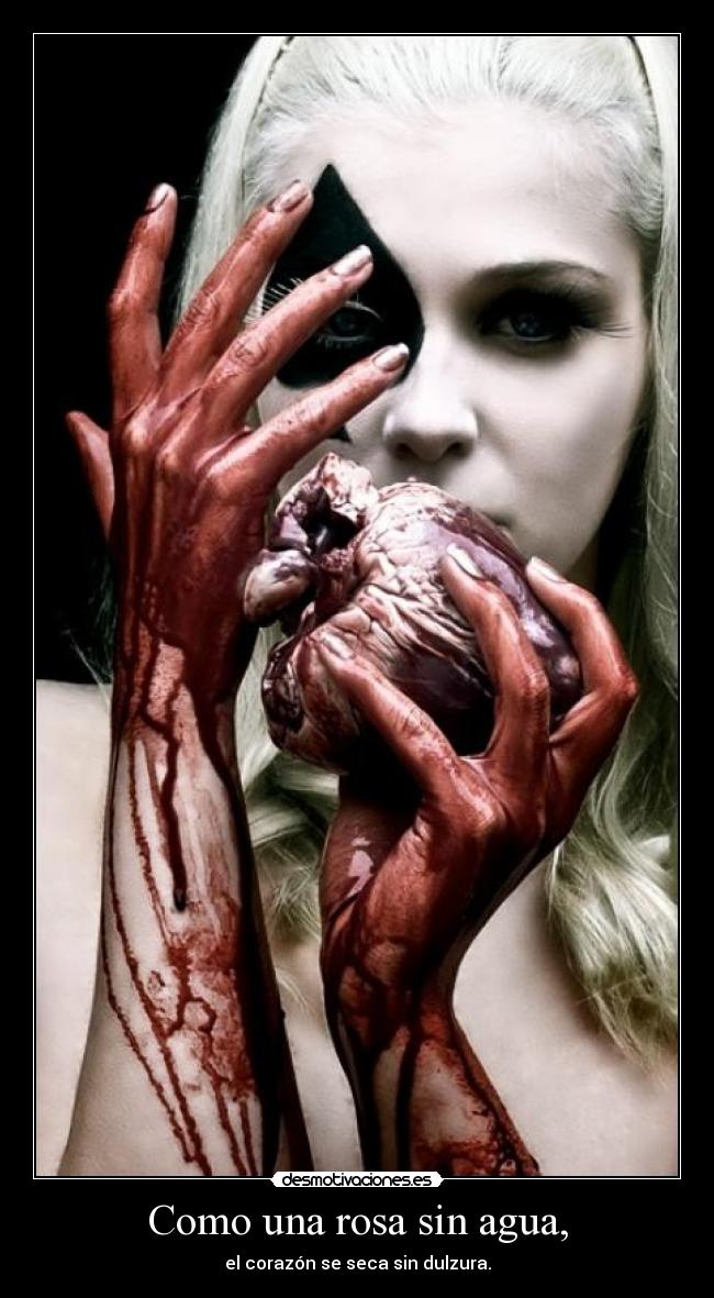 Como una rosa sin agua, - el corazón se seca sin dulzura.