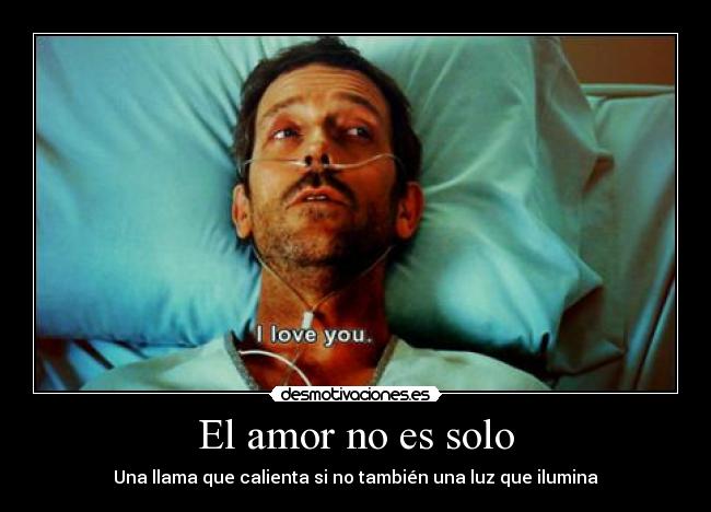 carteles amor guti19 ilumina sendero los ilusos porque eres idiota cuando amas house sam desmotivaciones