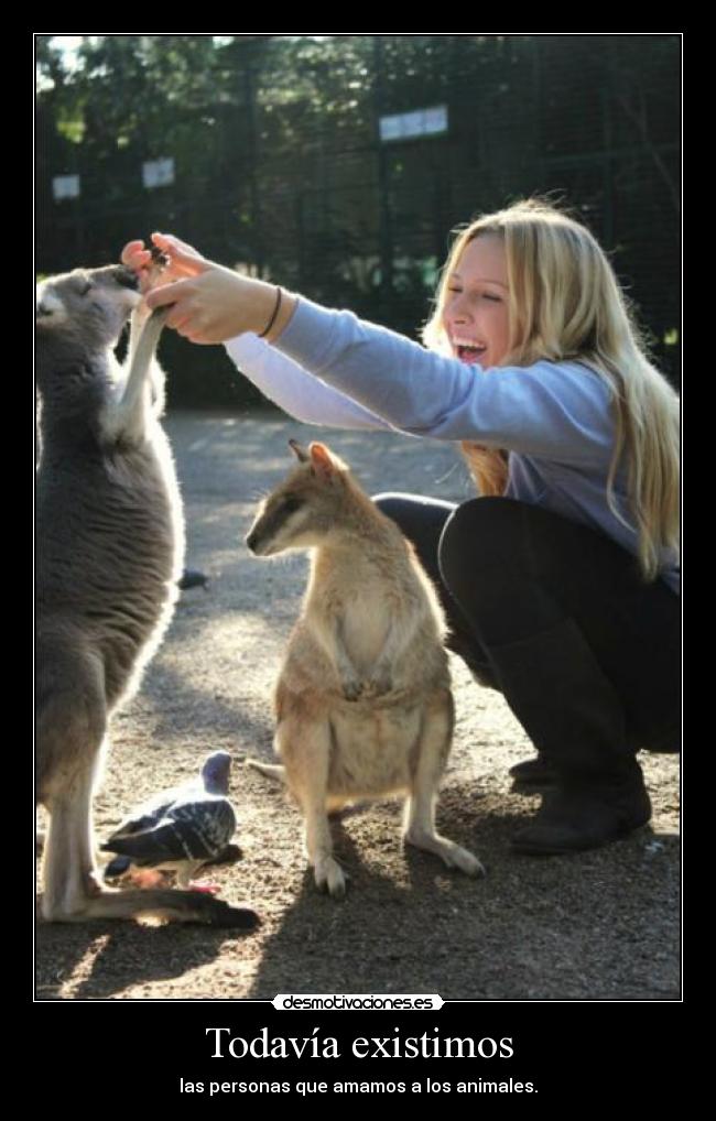 Todavía existimos - las personas que amamos a los animales.