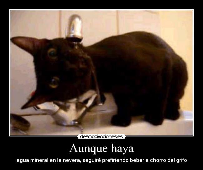 Aunque haya - agua mineral en la nevera, seguiré prefiriendo beber a chorro del grifo