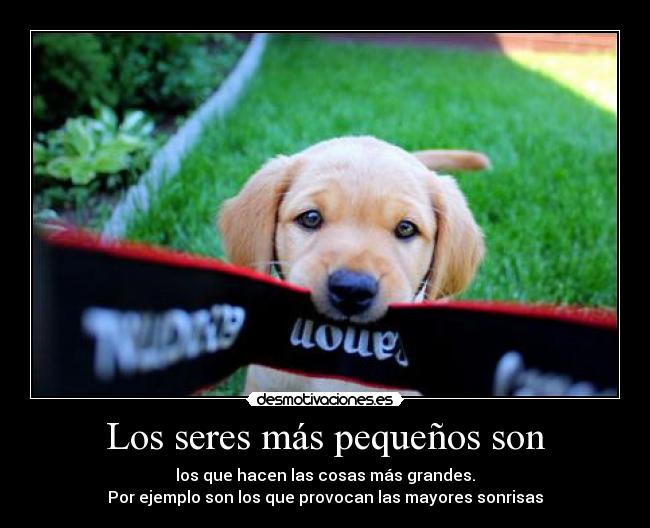 Los seres más pequeños son - 