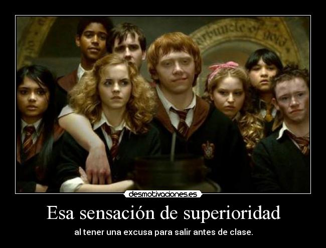 carteles cartel hermione weasley harry potter always desmotivaciones