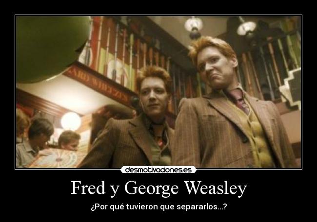 Fred y George Weasley - ¿Por qué tuvieron que separarlos...?