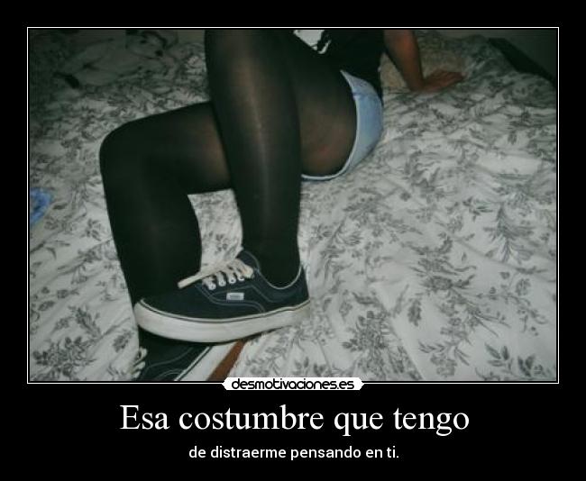 carteles you are stupid but thats not care because dolphin desmotivaciones