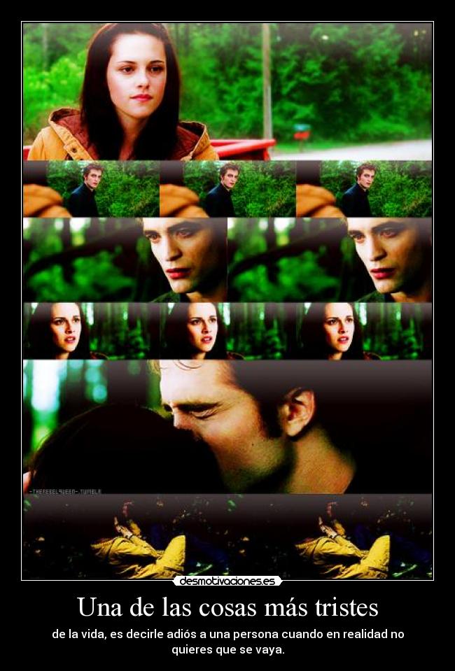 carteles edward bella desmotivaciones