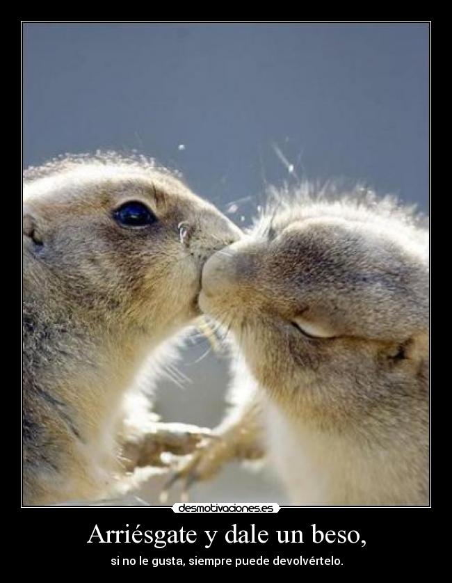 Arriésgate y dale un beso, -