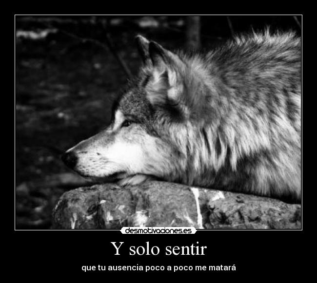 Y solo sentir - que tu ausencia poco a poco me matará