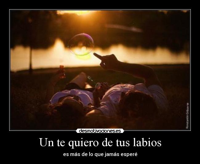 Un te quiero de tus labios - 
