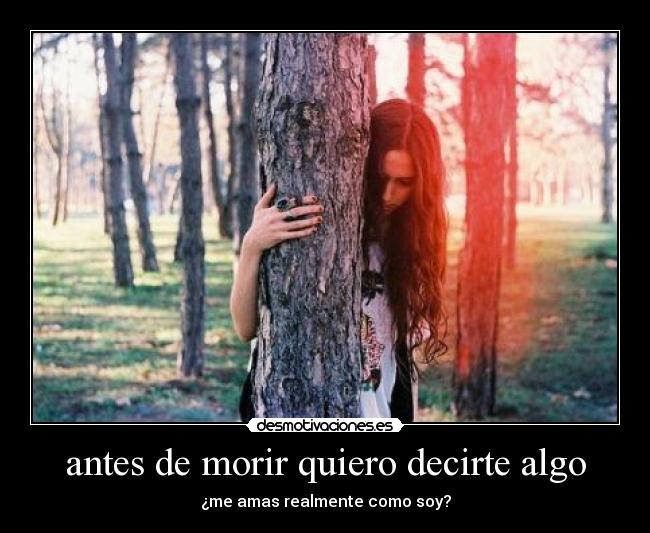 carteles amor antes morir desmotivaciones