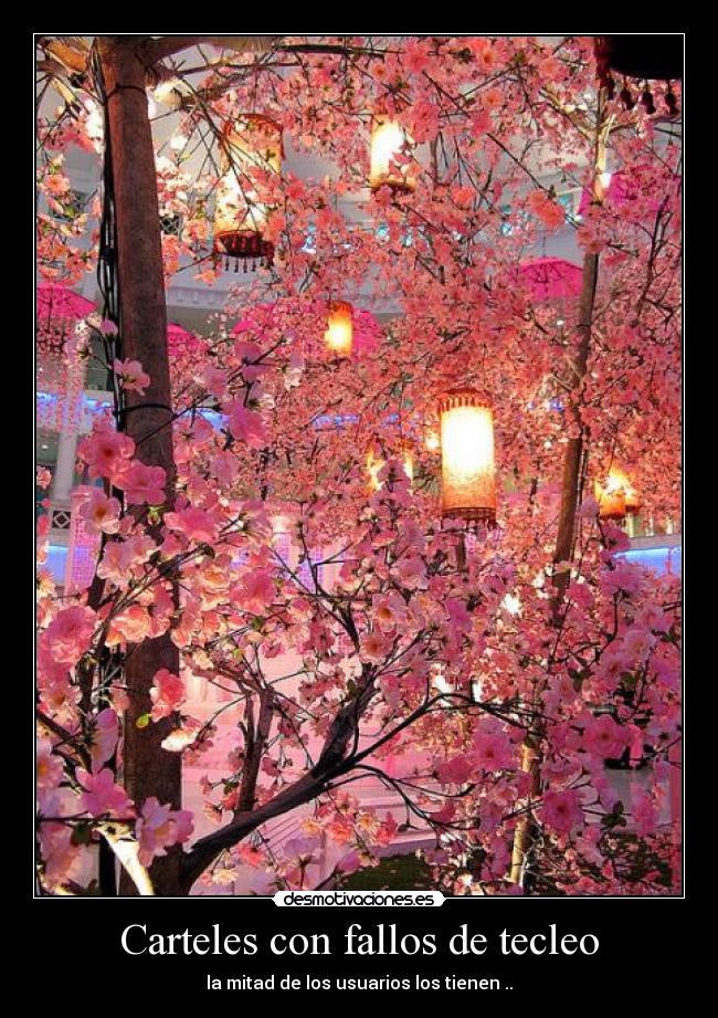 Carteles con fallos de tecleo - 